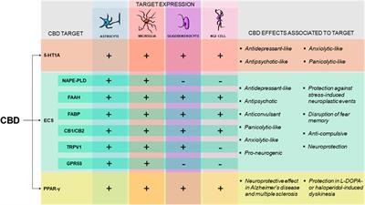 Glial Cells and Their Contribution to the Mechanisms of Action of Cannabidiol in Neuropsychiatric Disorders